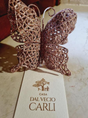 dal vecio Carli